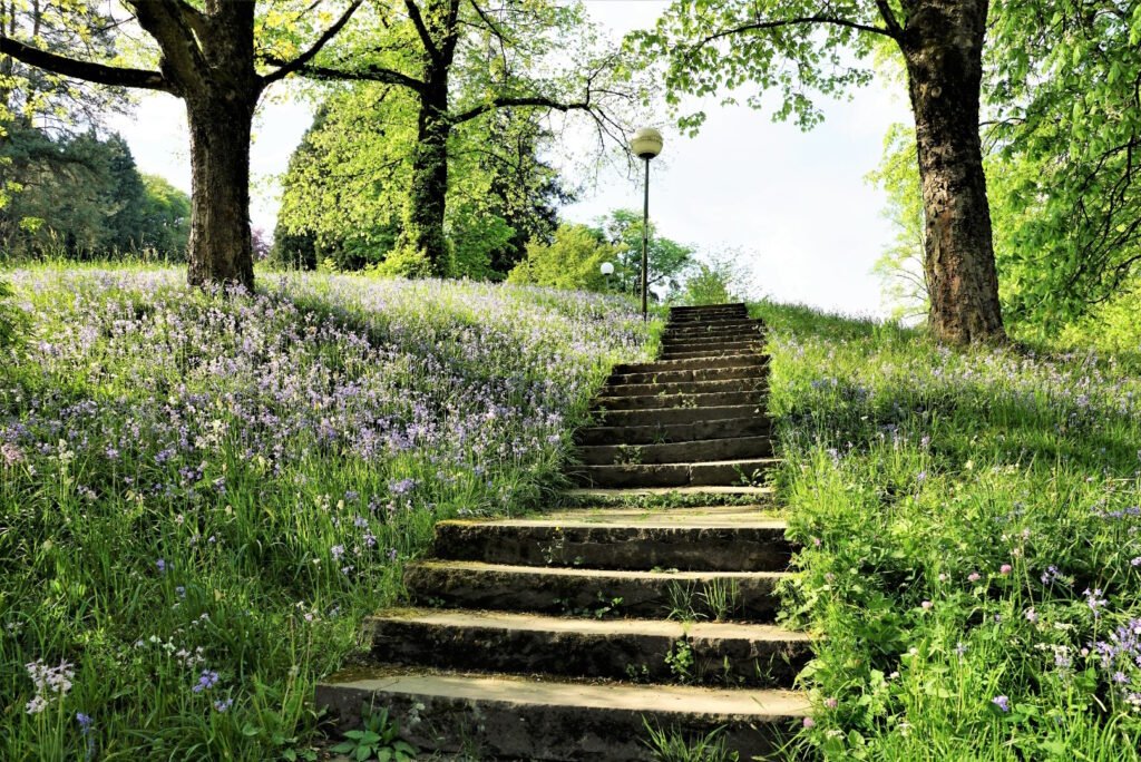 Treppe im Wald